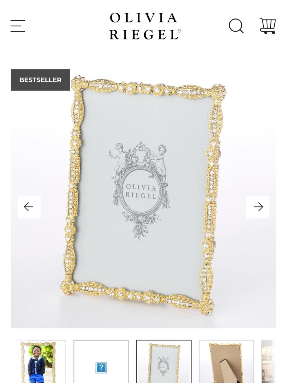 NWT Olivia Riegel Asbury 8x10 Gold Jeweled Picture Frame
